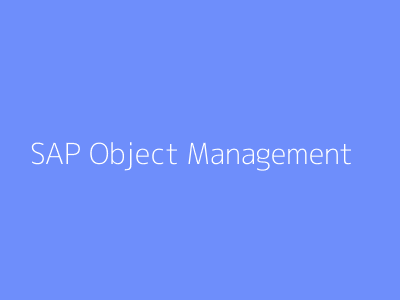 SAP Object Management